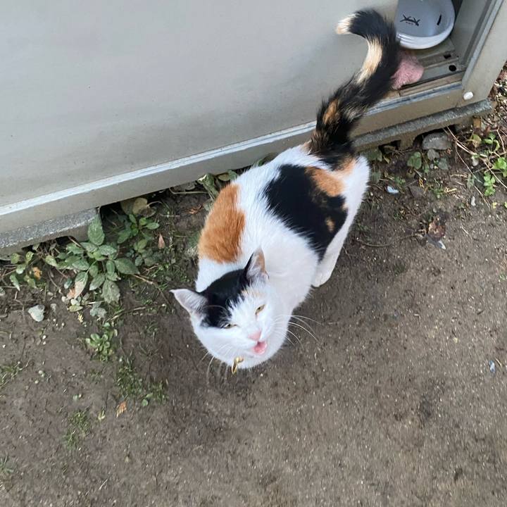 0a5bed2c bc25 457e 8426 1627b1aa0214 1638569622038