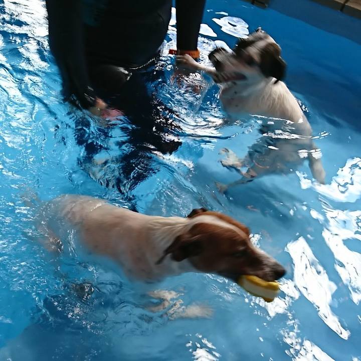 0a5bfb6d 14cb 477b 906e e944b12b865e 1536304794744