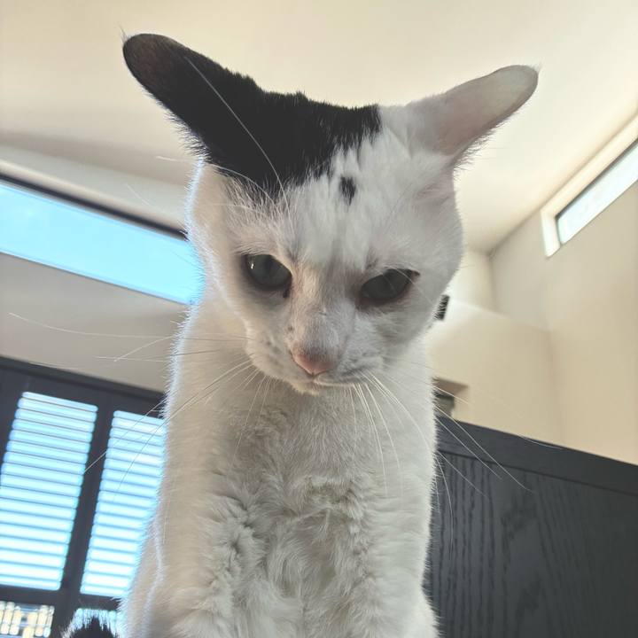 0a5c385b ae43 4506 ada7 d1403a3cef6b 1763334769189