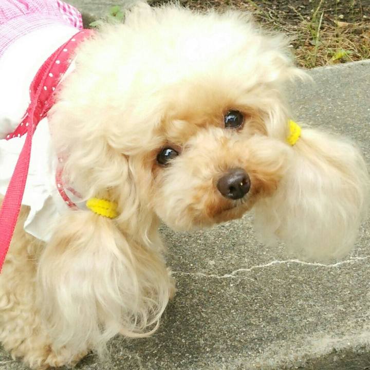 0a5c520a cb53 42f3 acf3 327362d6a23e 1560345515019