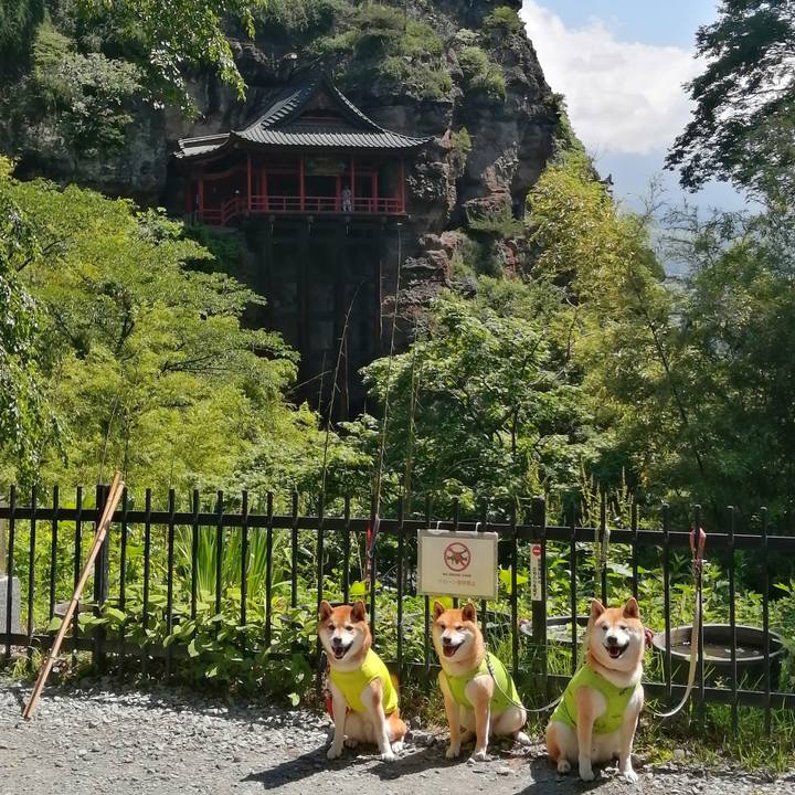 0a5c8da9 8a87 4225 b40d a867eca906cc 1687832286689