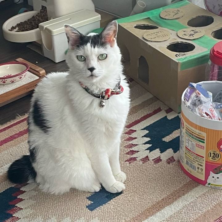 0a5cc07e 460d 4d20 9965 d29d18234164 1720064071488