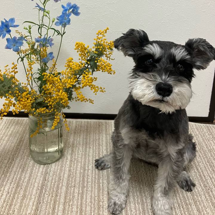 0a5cc1ce 534d 494e a0f4 f25dd61a8fb7 1743494743119