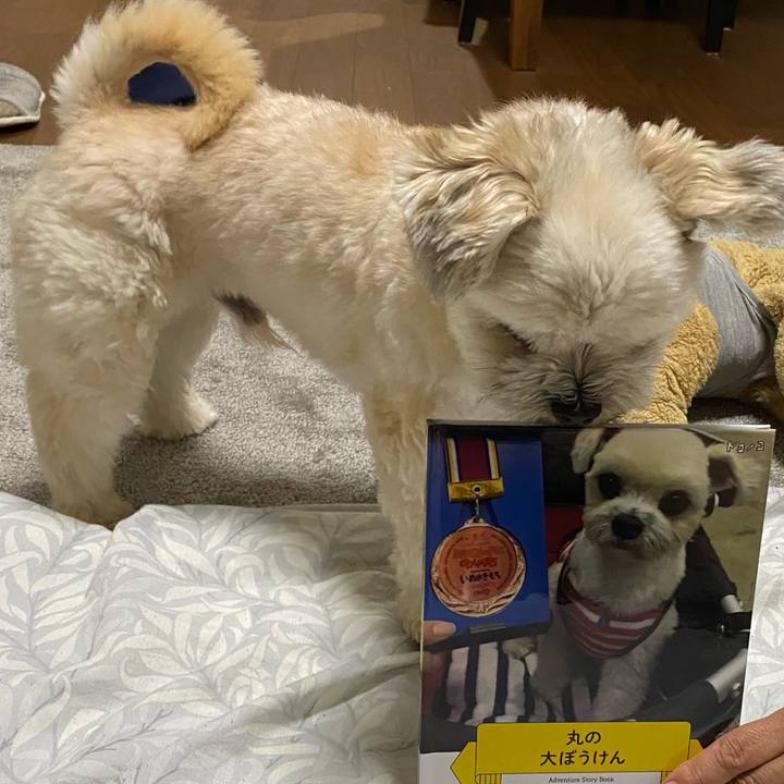 0a5cdad0 adc7 462e a597 af0404a736ff 1625055149966