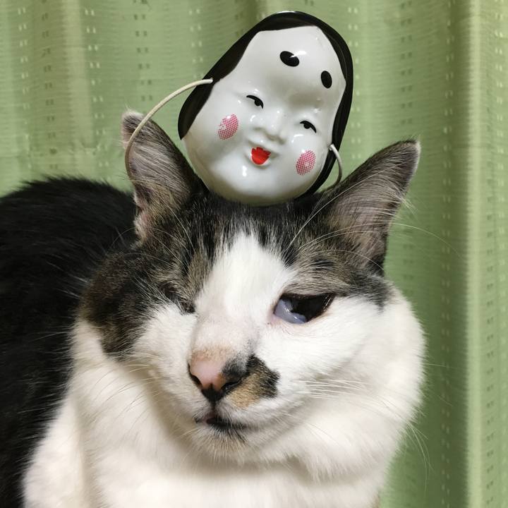 0a5cea0c aa1c 4793 95e9 b31a15c3e67e 1549154723871