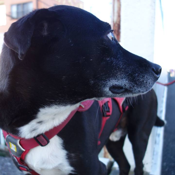 0a5d2bb2 b30c 481f b0e2 14c417dca80c 1700528855619