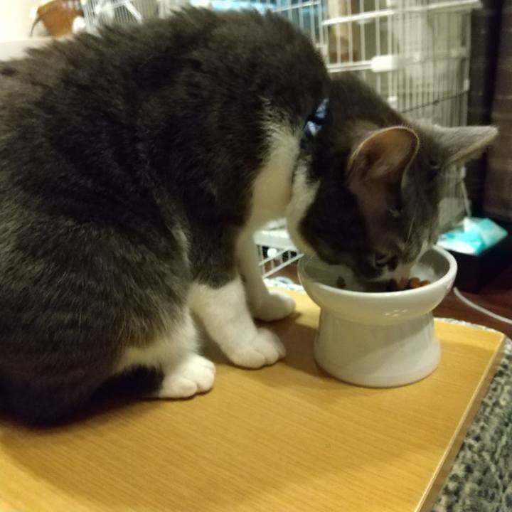 0a5d5dd2 b65f 4344 9333 01db3af9862d 1612302204369