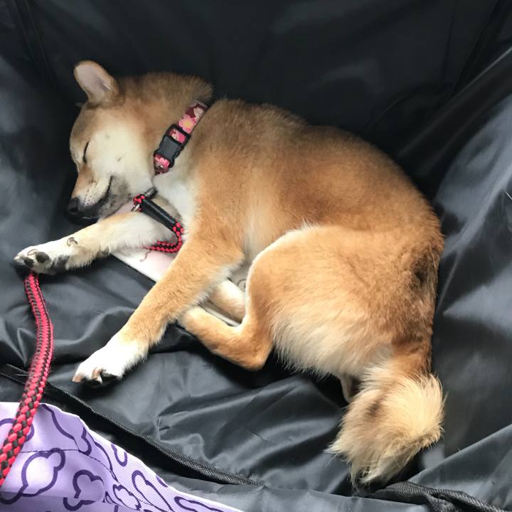 0a5d621a ad71 4b91 8627 f26f0c4a0e10 1519548507155