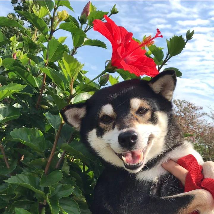 0a5d6d6a 5fe2 4c4f bcf2 ba680c230f2c 1520126766009