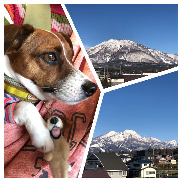 0a5d9822 350b 4581 9417 4b01998f8bd0 1555114208039