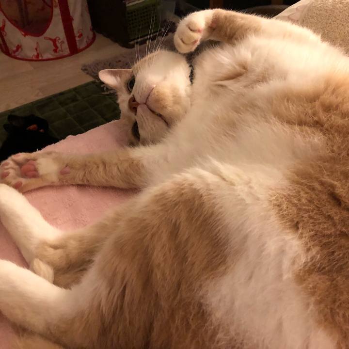 0a5db647 3fc8 4b5f 83bf 84496b67d186 1530408826266