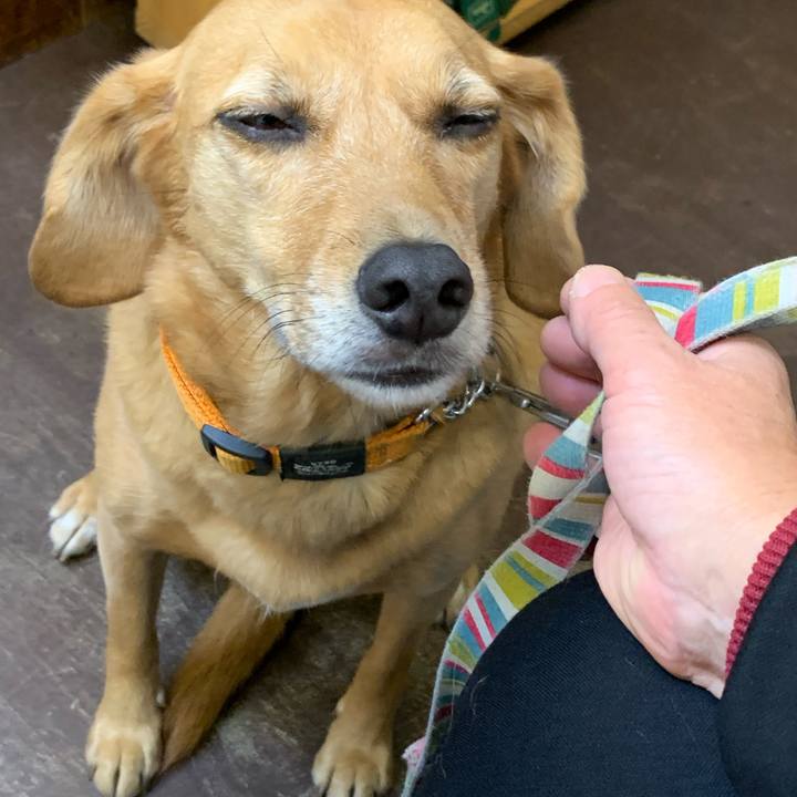 0a5dbc65 067d 479c a864 e417ee4f4b15 1573910321471