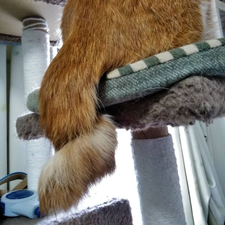 0a5df298 d484 4f73 bf16 45d698a0ae8b 1560810587866