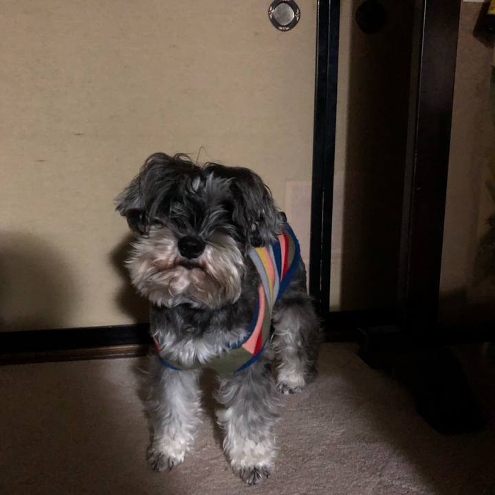 0a5e1cfc 4dca 4b52 8d8f eea5cb02257a 1544623441240