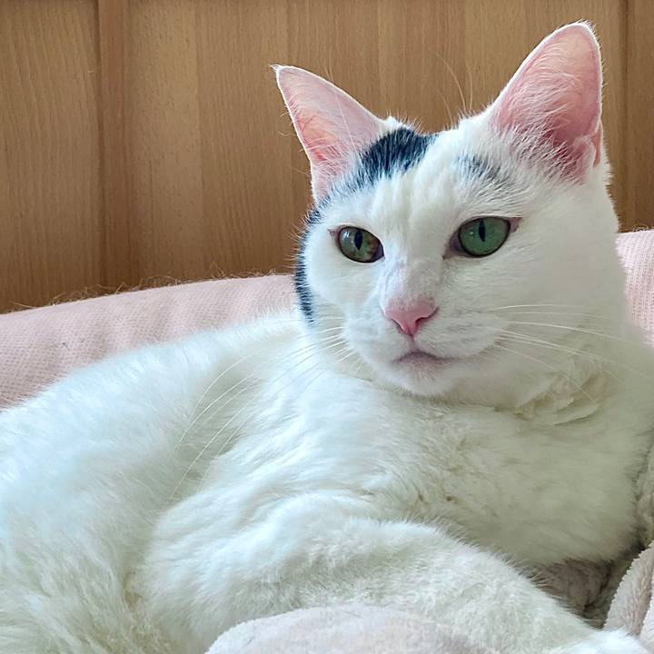 0a5e4896 3e85 4894 b5c2 df94a2c1c6f0 1632197178336