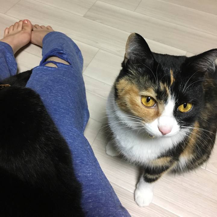 0a5e4e09 e198 4811 bf6d 039961b3aee4 1511697491437