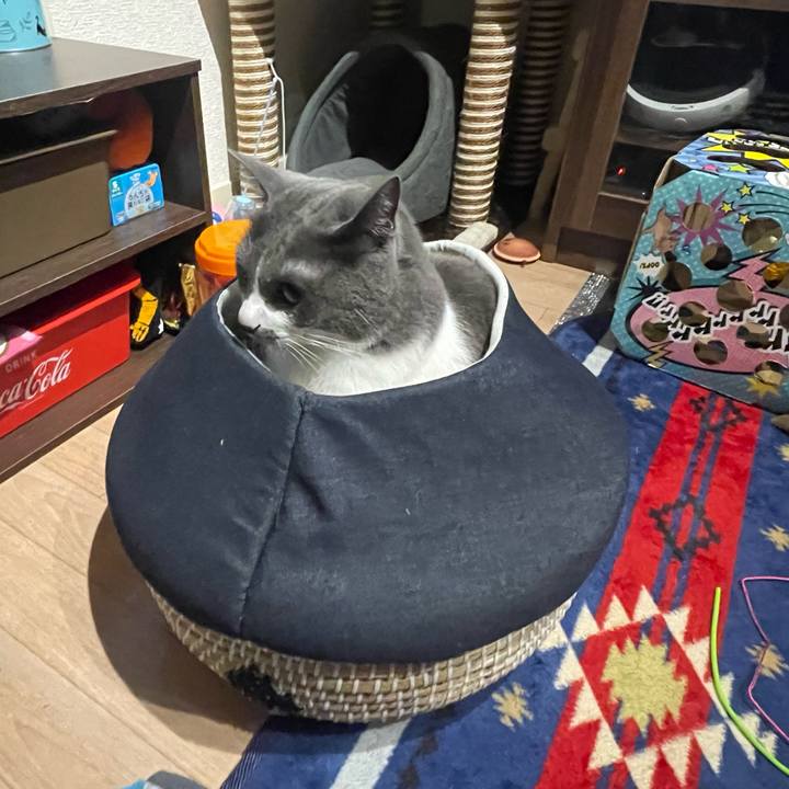 0a5e6062 2ecc 40b3 907a b5142a534b08 1671626987773