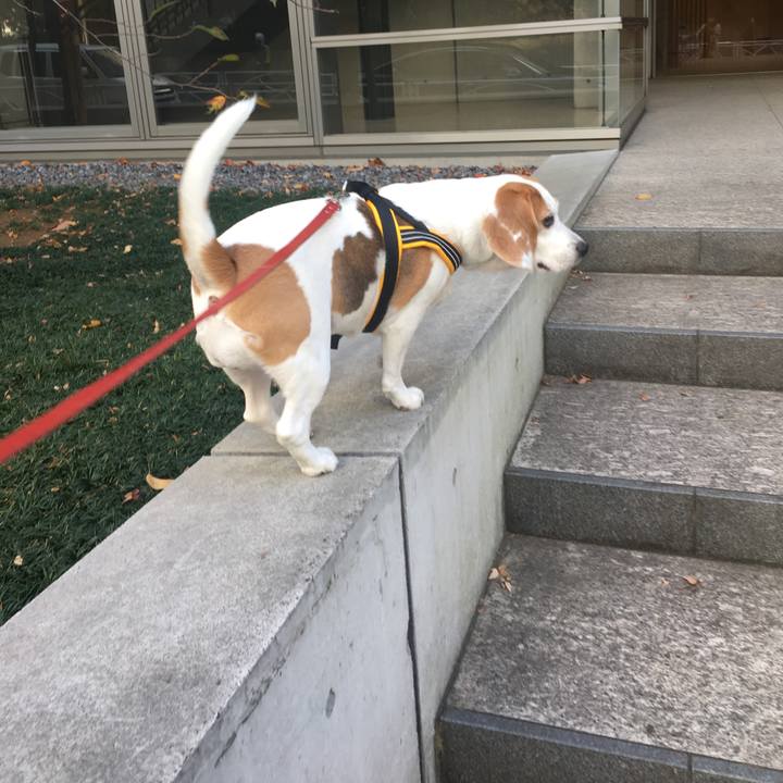 0a5e60a5 9624 4a6b 8af7 5e4bb44a9f4a 1544608328613