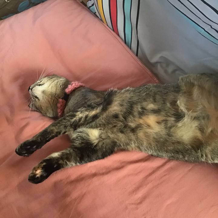 0a5e7b0f 0a2e 40a4 a692 f2600f978226 1589161914657