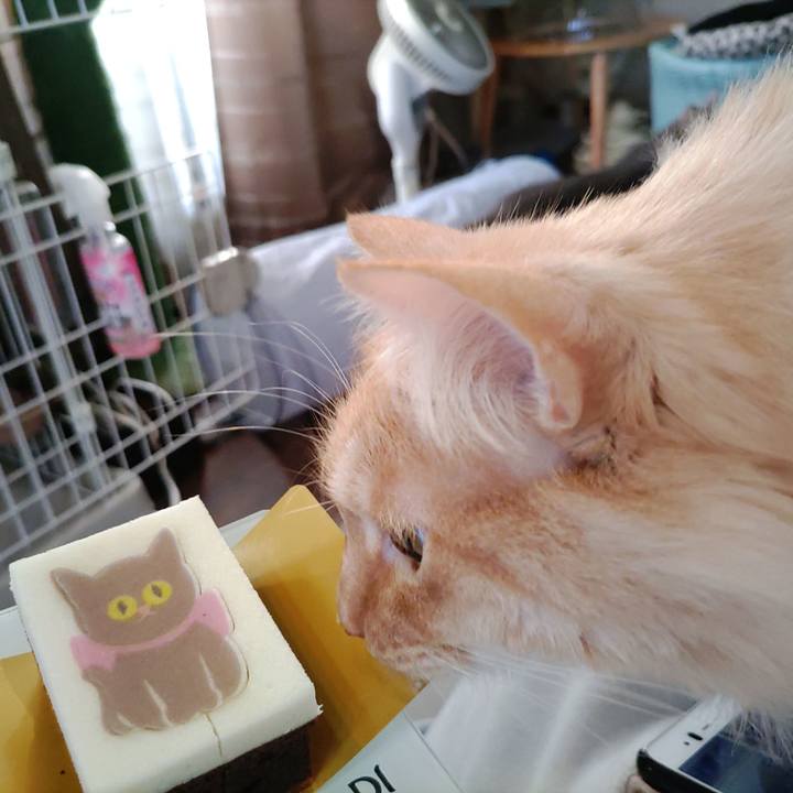 0a5e7d8c 6fd8 461c a098 e8c9fddc71b4 1707569747739