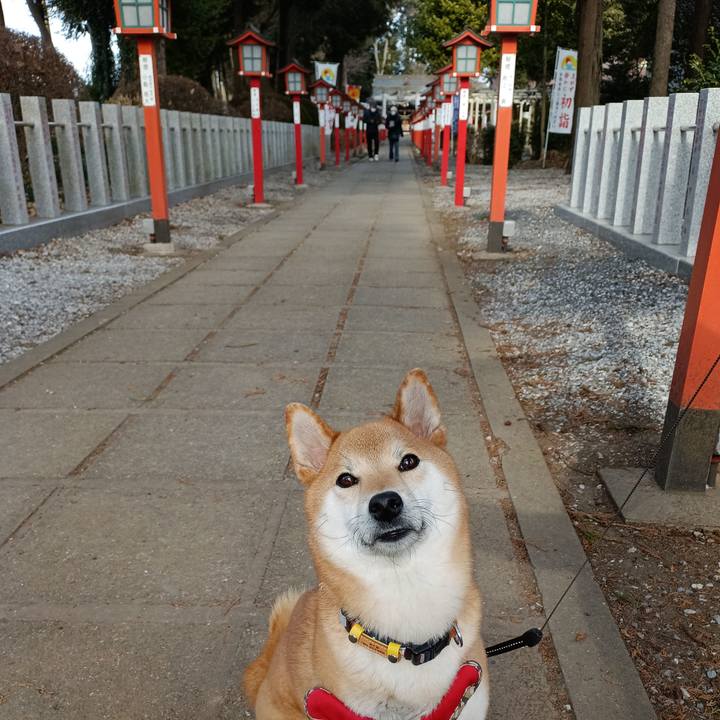 0a5e958f 0a54 49d5 9d73 f03c2ec4dc55 1737259312261