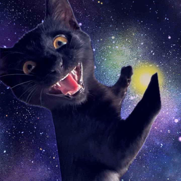 0a5ea0a3 0f95 4986 a210 2b0f221dc8d7 1748514603228