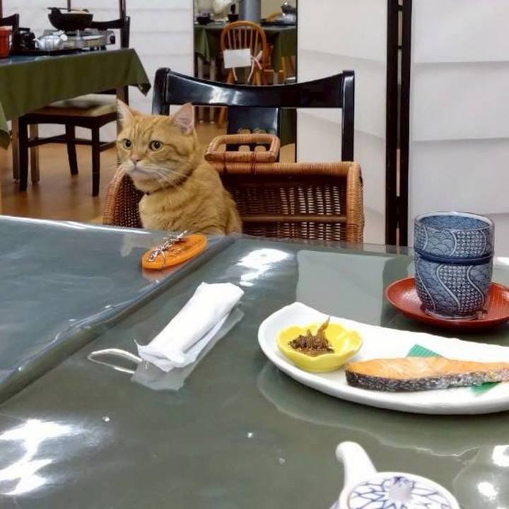 0a5ece4d c6ad 47d0 a7d0 86b182335447 1762702773942