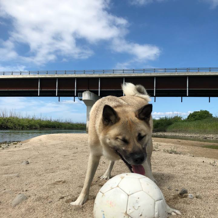 0a5f3c82 a43b 47b7 abc5 7ef2bd8e7004 1561277579195