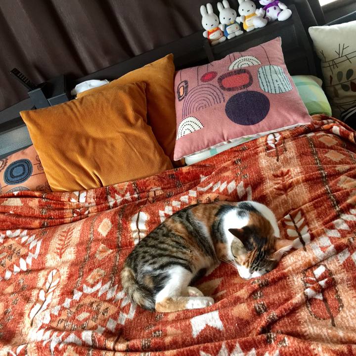 0a5f66fa cd26 47df 98ea 908b32ff8c0a 1648989006088