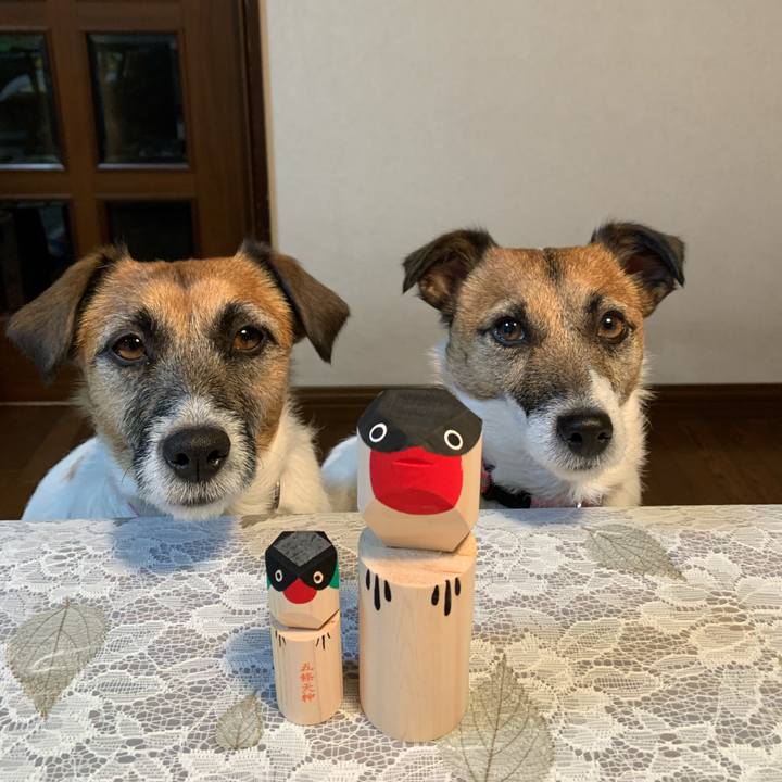 0a5f9150 89a4 40c7 9f6c abcbb8ac4beb 1611578196201