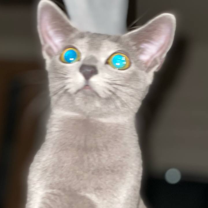 0a5f9c28 b3d8 4365 96ff 2da7b2a6891b 1605174039843