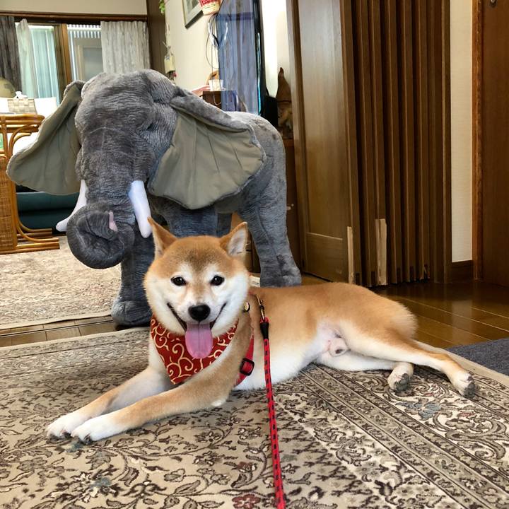 0a5fa736 871f 40ea b342 b178ca0a0fa7 1535014991769