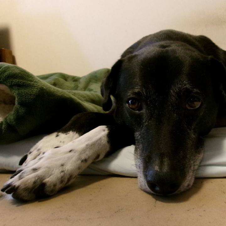 0a5fb402 d072 4ed9 9ec1 5096a239ecef 1753881450778