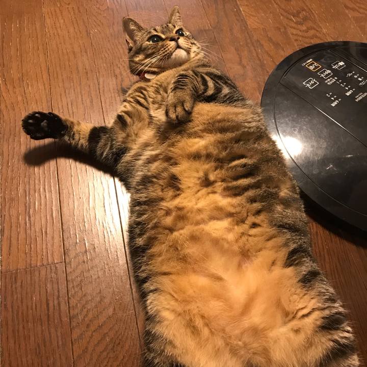 0a5fcbad 3779 4896 91c4 2b5e94e802ce 1595679320322