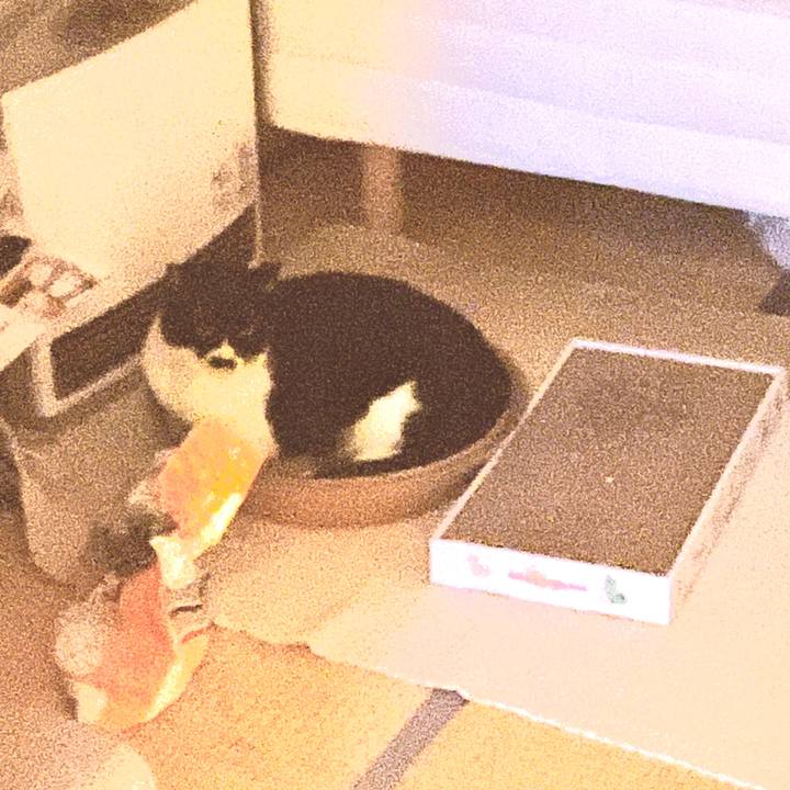 0a5fd4c6 828e 4b66 95d9 51ea9c799580 1672500795989