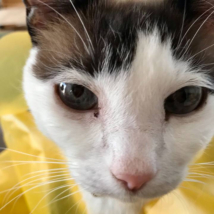 0a5fe7a4 e4fb 45b5 a15b d1d5e51cb487 1617436863493