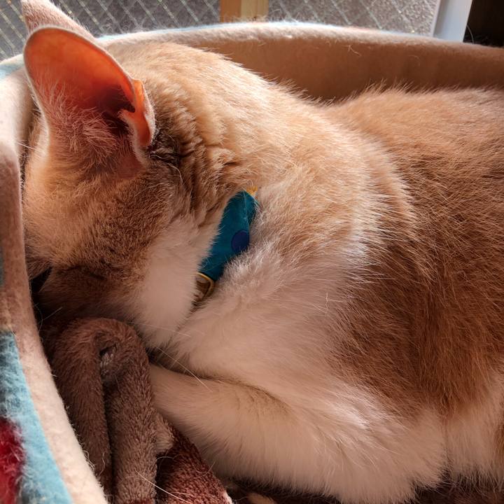 0a6009e4 9828 4293 9ed5 1b7d3619a6d6 1593401161077