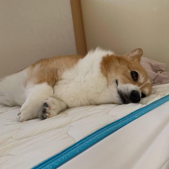 0a6028ad 1671 47f3 8043 f4b4a06171c8 1719192536731