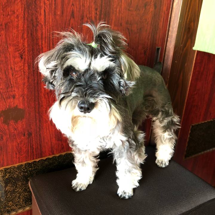 0a603c9f 35d0 4da7 9313 74a65313f4ca 1528068927244