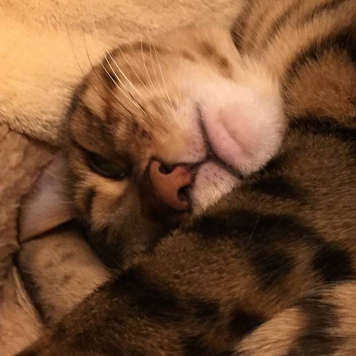 0a6080c0 1984 4d71 8e10 94b4f399de1d 1517954264678