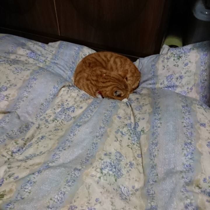 0a60997c b4a0 4935 acae 98ba98ad2778 1578657780604