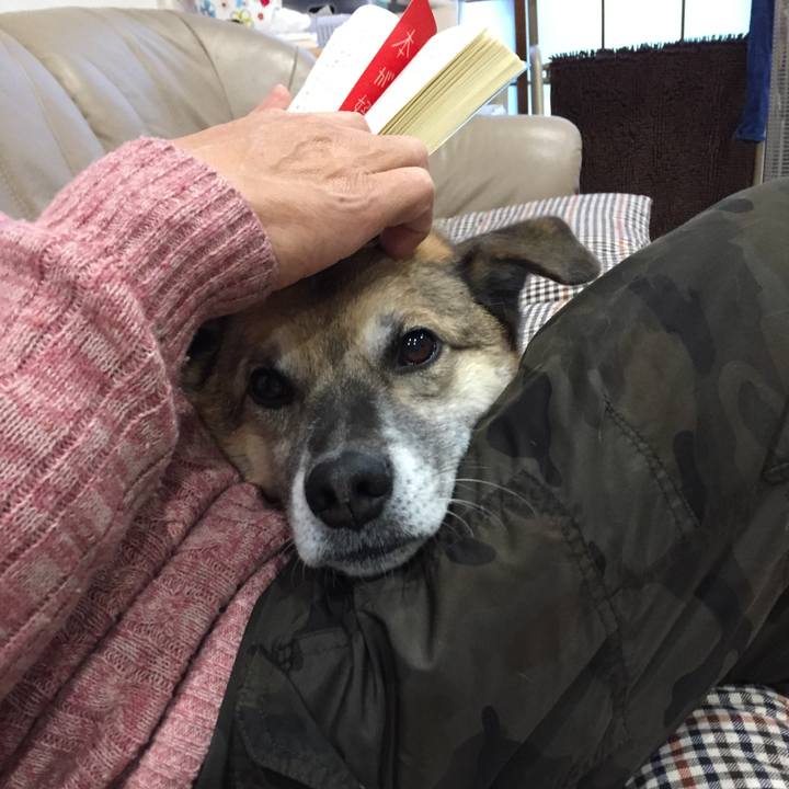 0a60a260 a0e5 4534 85c9 b092060f7d5a 1517996663767