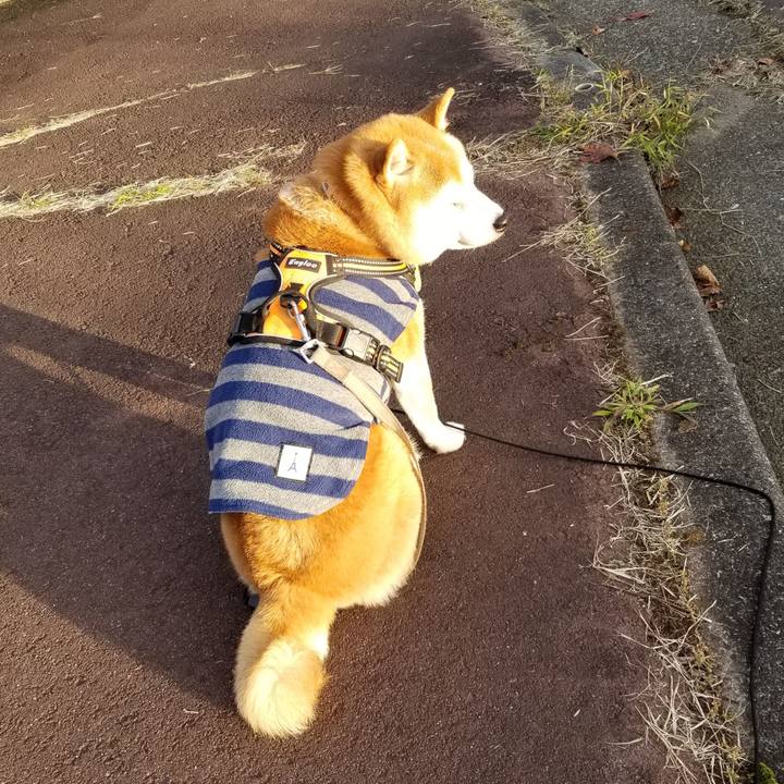 0a60e070 3d79 442f 8a0a 729632b64eec 1635491198742