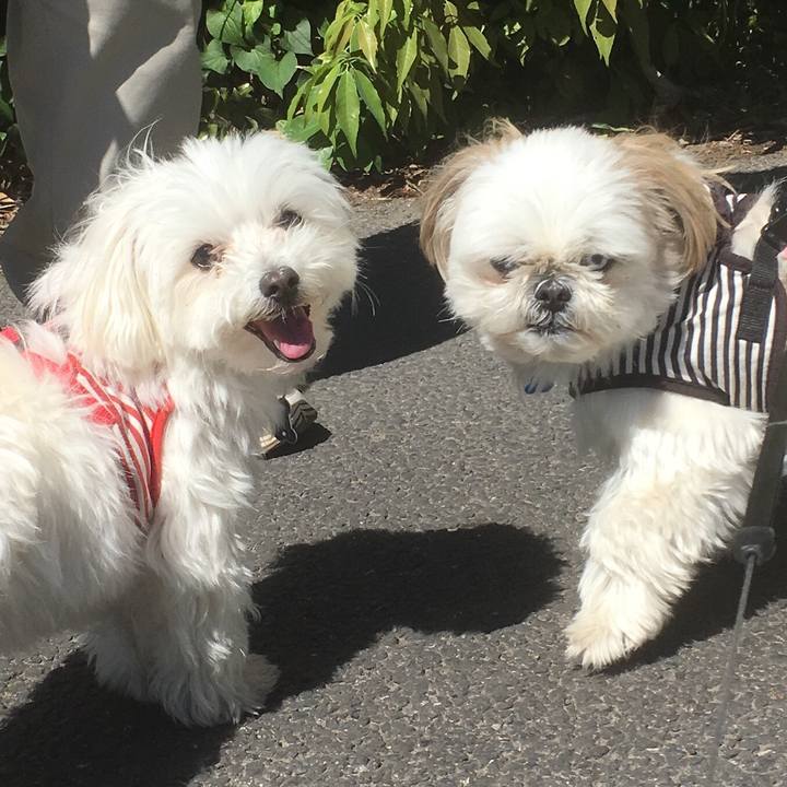 0a60fc4f 7b72 41c6 bdbf a61ea89d5408 1526781634687