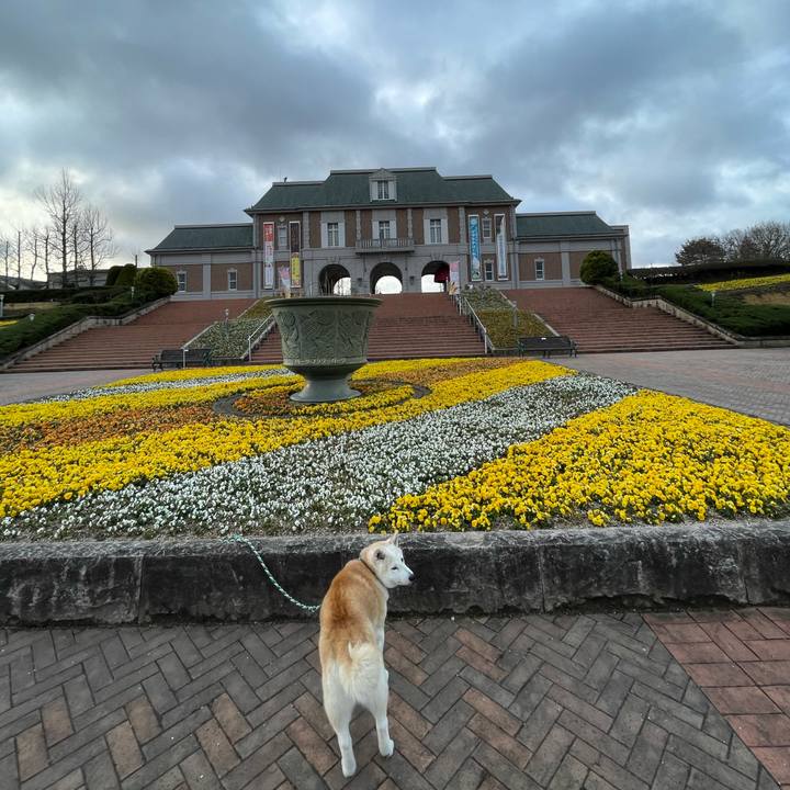 0a612fb7 726b 451a 8855 23fcc312994d 1647649610371