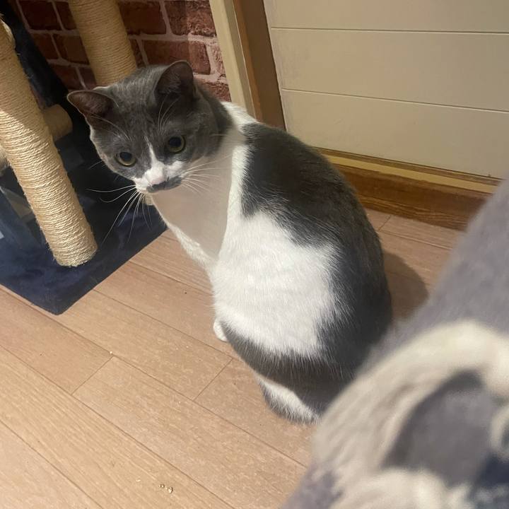 0a61a3ad 57bd 42ef a3be 65a74790ef10 1631133910756