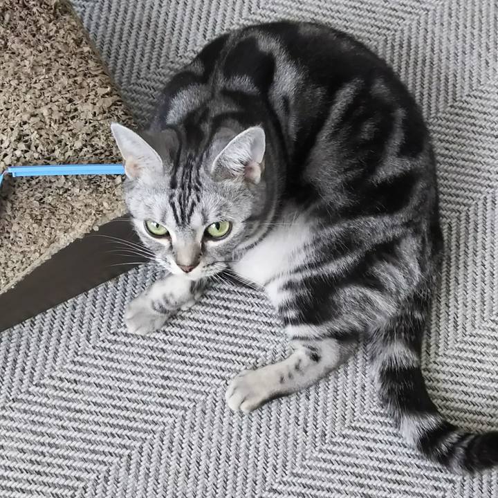 0a61b33f ce75 499e b1d1 7013b40f6381 1587111489771