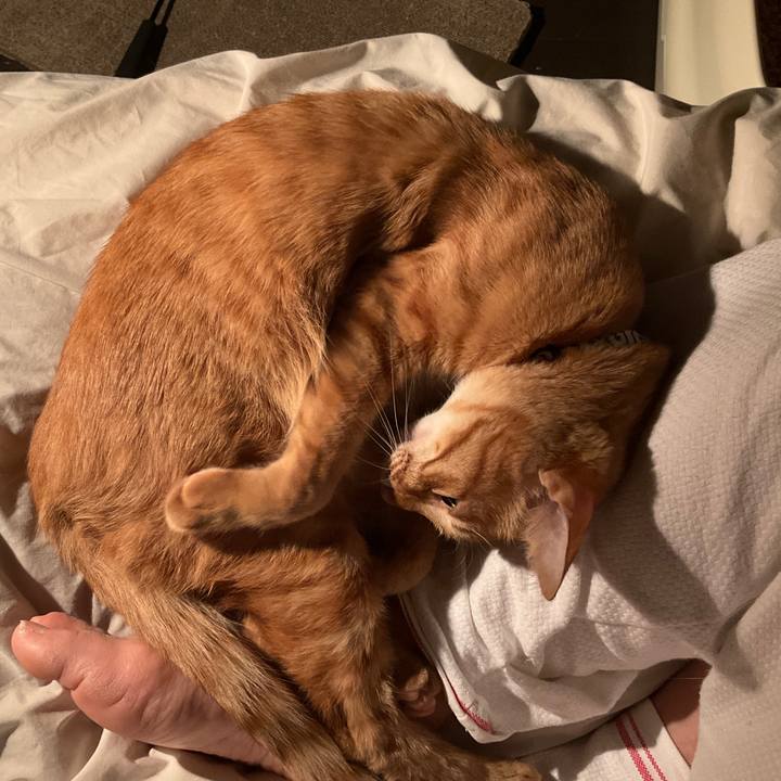 0a61da70 f643 484d 9adf fff1b86827bd 1650146377750