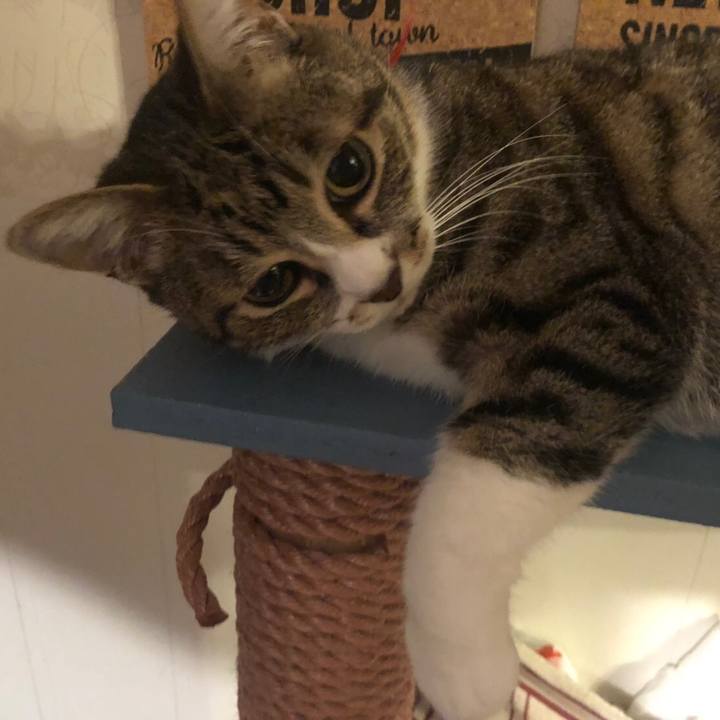 0a61dd2a 17dc 459c a858 3da4d56b721e 1558962359756