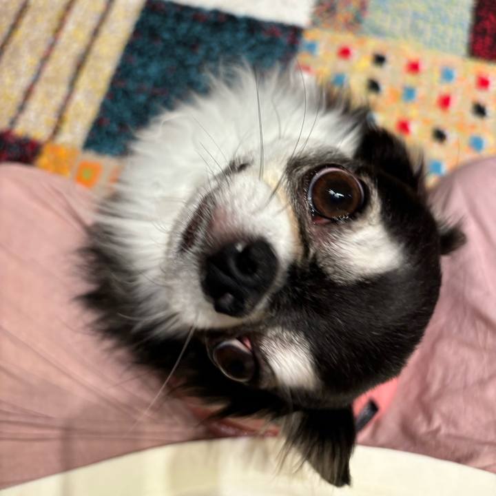 0a61f63c f79d 414f 9478 2e8176350015 1731256737593